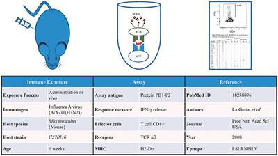 Epitope Specific Antibodies and T Cell Receptors in the Immune Epitope Database